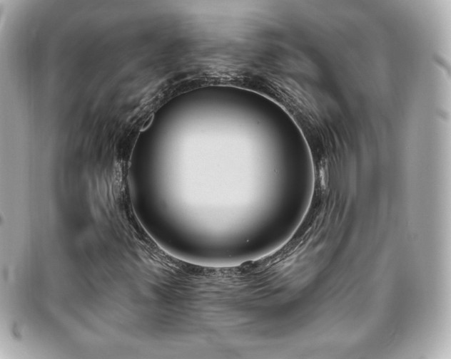 X0000096431347200801241329