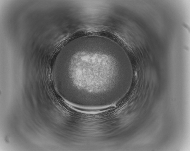 X0000096431348200801241329