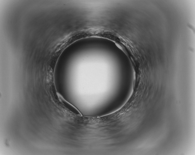 X0000096431349200801241329