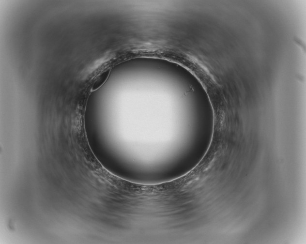 X0000096431350200801241329