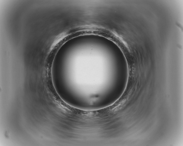 X0000096431352200801241329