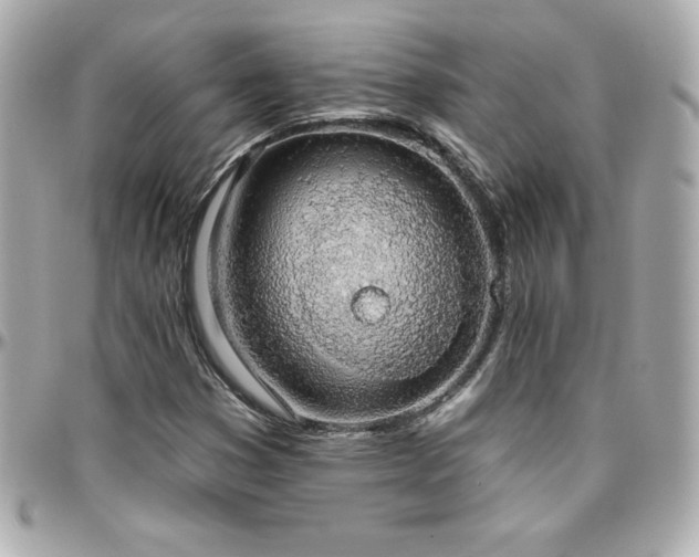 X0000096431353200801241329