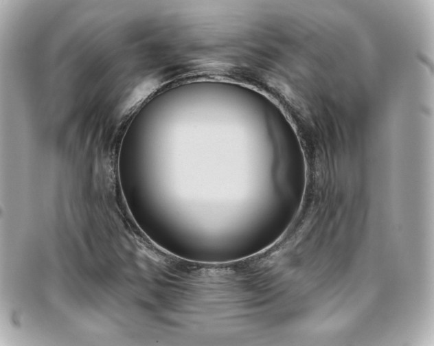 X0000096431354200801241329