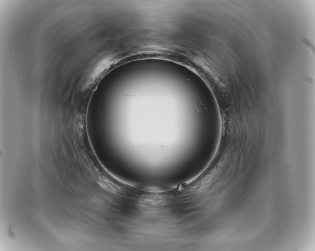 X0000096431355200801241329