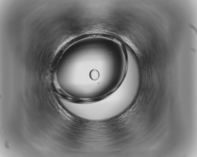 X0000096431356200801241329