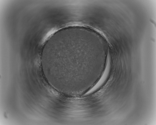 X0000096431359200801241329