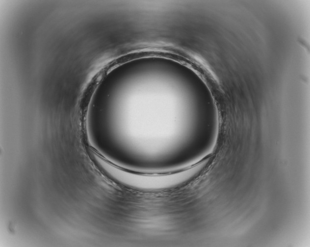 X0000096431360200801241329