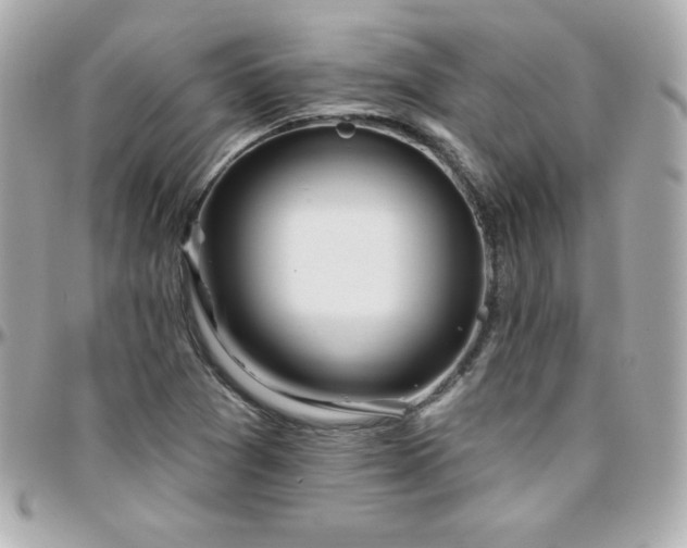 X0000096431361200801241329