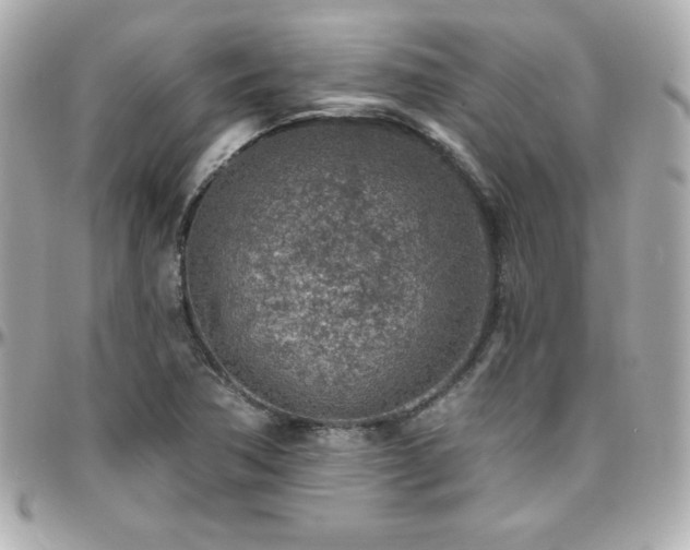 X0000096431362200801241329