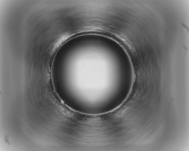 X0000096431363200801241329