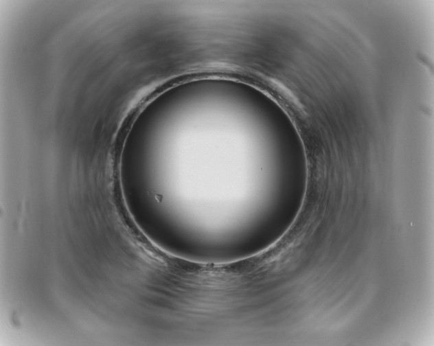 X0000096431364200801241329
