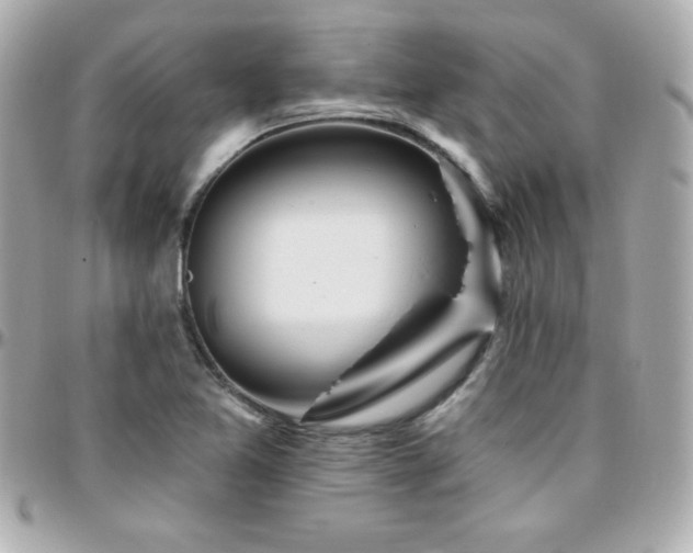 X0000096431365200801241329