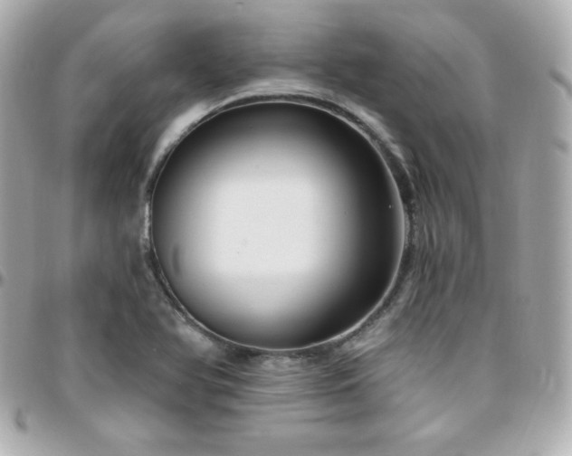 X0000096431366200801241329