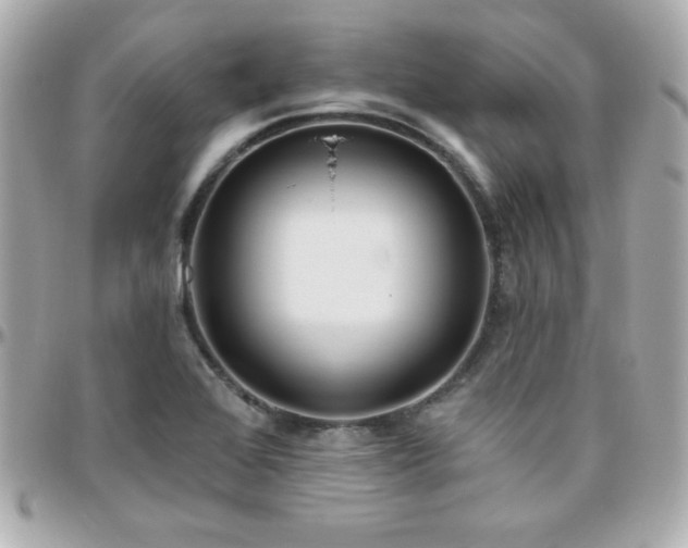 X0000096431368200801241329