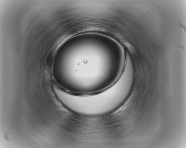 X0000096431369200801241329