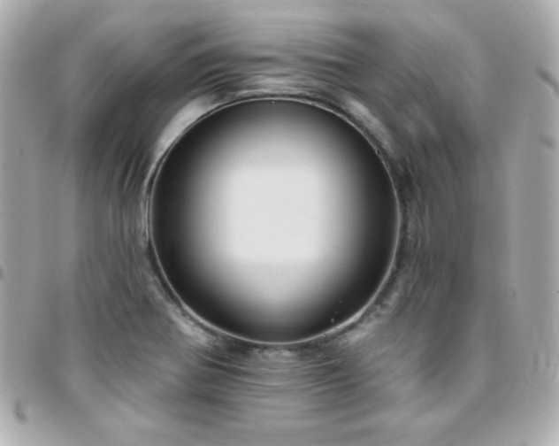 X0000096431370200801241329