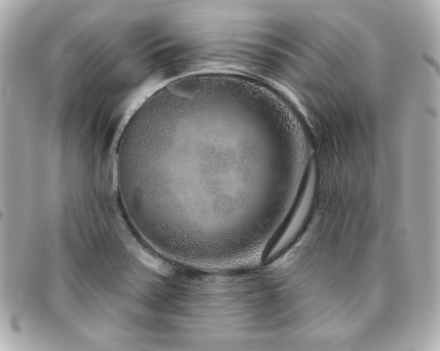 X0000096431371200801241329