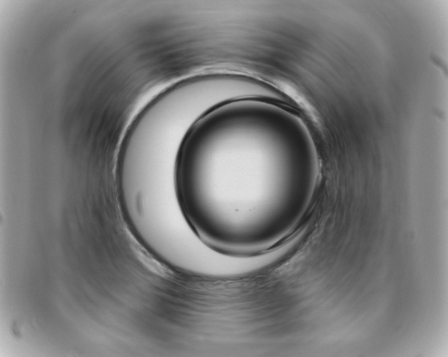 X0000096431372200801241329