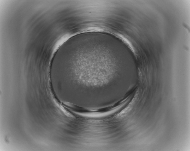 X0000096431373200801241329