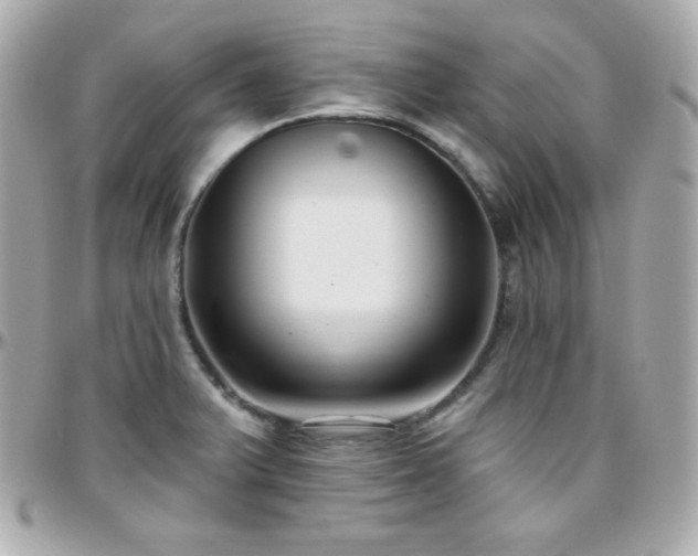X0000096431375200801241329