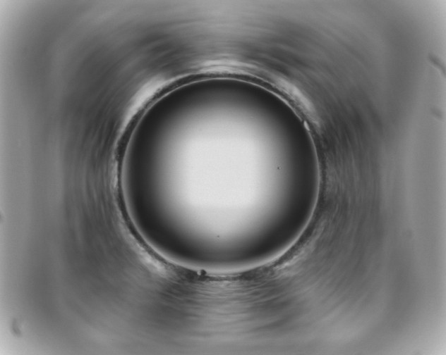 X0000096431376200801241329