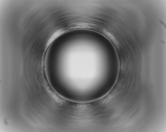 X0000096431378200801241329