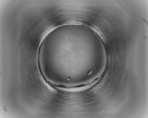 X0000096431379200801241329
