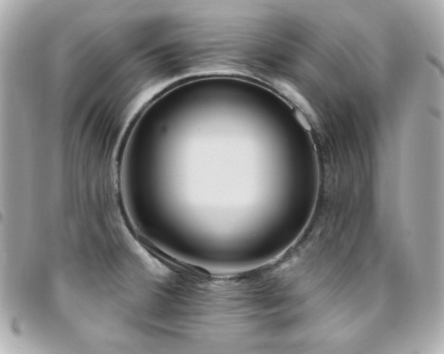 X0000096431380200801241329
