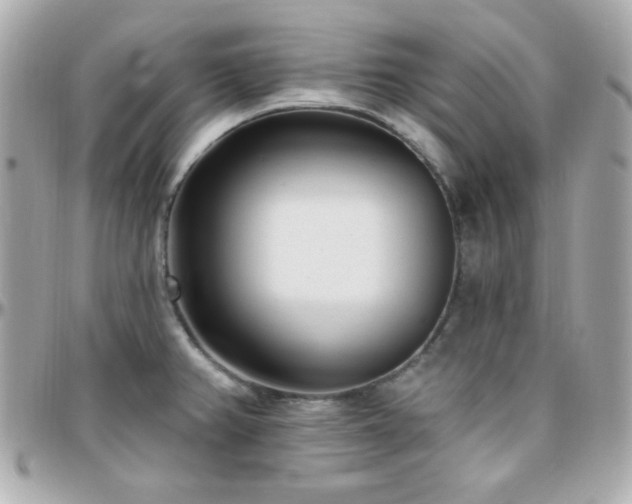 X0000096431382200801241329