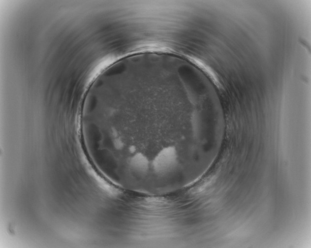 X0000096431383200801241329