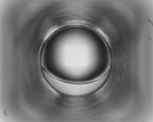 X0000096431384200801241329