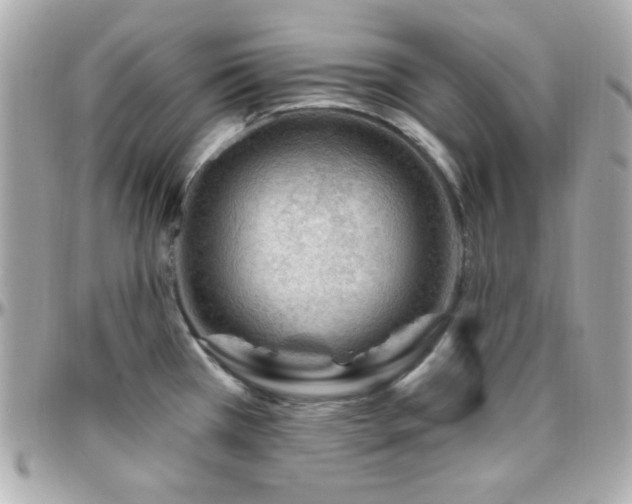 X0000096431385200801241329