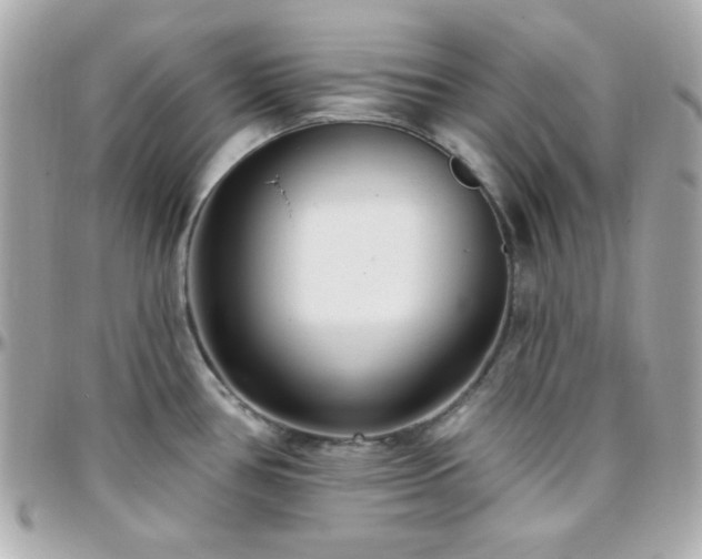 X0000096431386200801241329