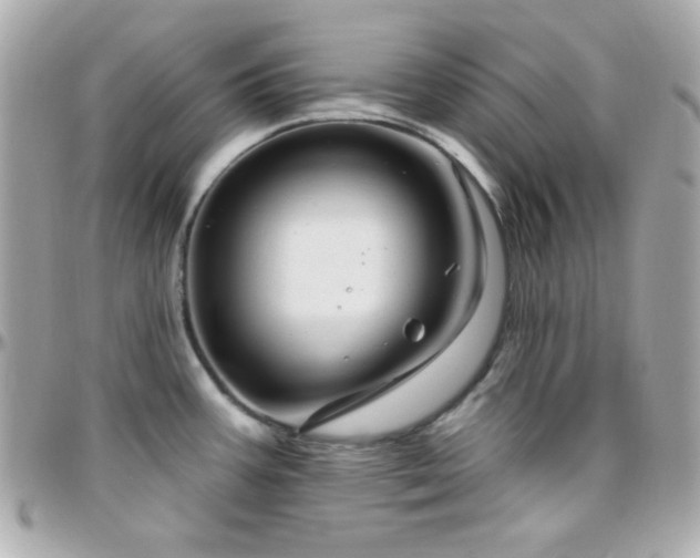 X0000096431387200801241329