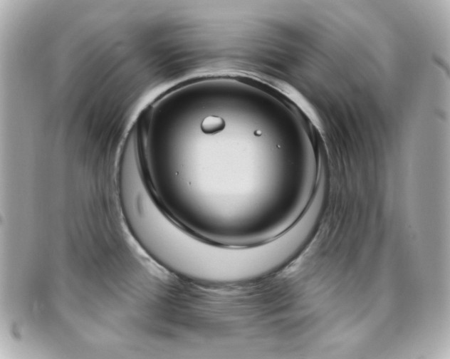 X0000096431388200801241329