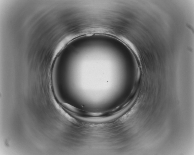 X0000096431389200801241329