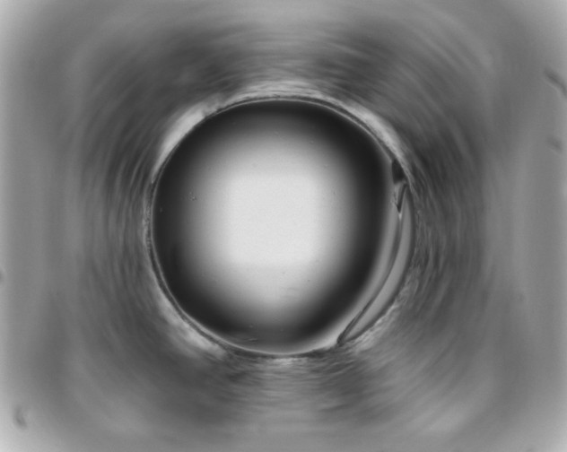X0000096431390200801241329