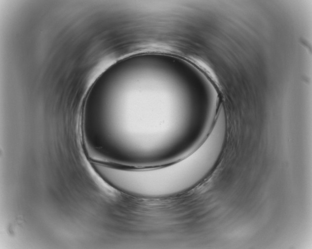 X0000096431391200801241329