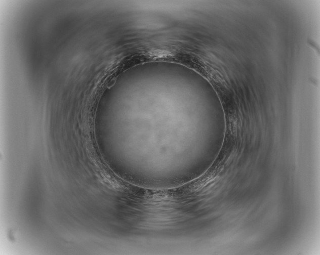 X0000096431393200801241328