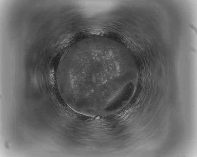 X0000096431394200801241328