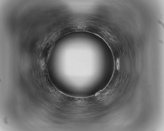 X0000096431395200801241328