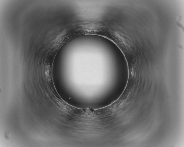 X0000096431396200801241328