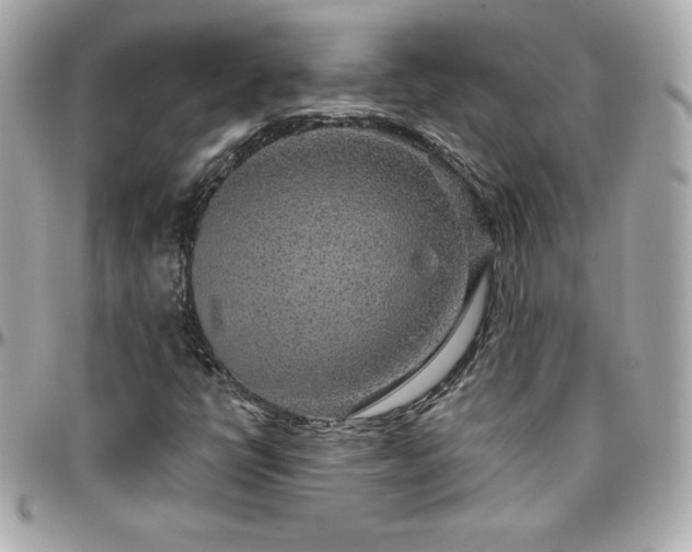 X0000096431398200801241328