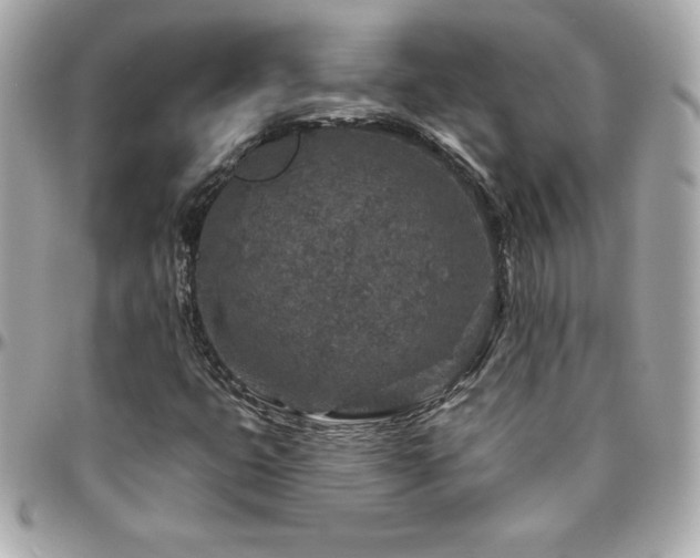X0000096431399200801241328
