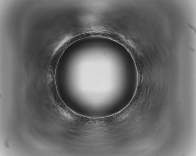 X0000096431400200801241328