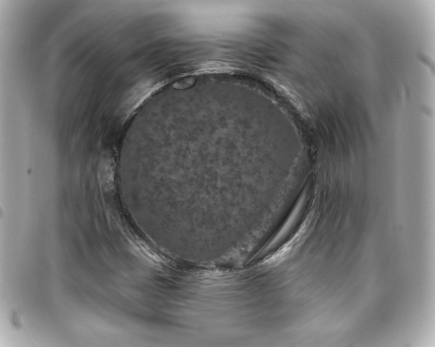 X0000096431401200801241328