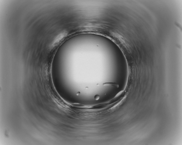 X0000096431403200801241328