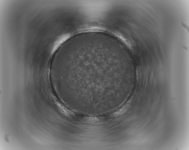 X0000096431405200801241328