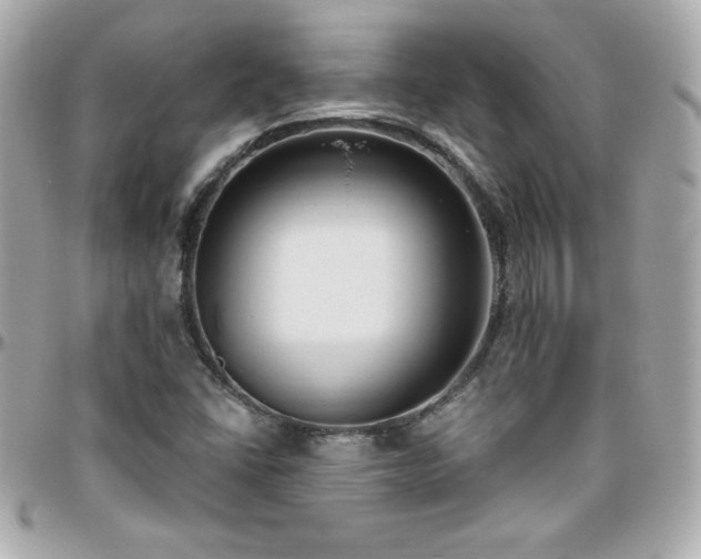 X0000096431406200801241328