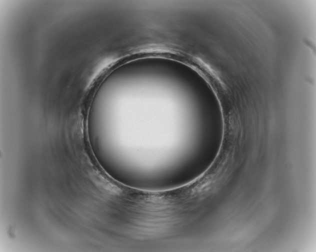 X0000096431408200801241328